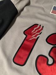 Washington Wild Things #13 Baseball Jersey Gray Grey Size 46 Frontier League