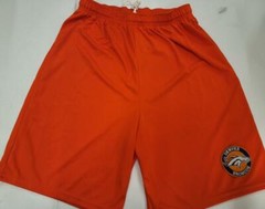 0725 NFL DENVER BRONCOS Polyester SHORTS Pockets Embroidered ORANGE BLACK NAVY
