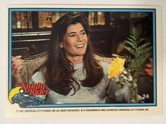 Vintage 1982 Ty Knight Rider Base Set Card #24 TV Entertainment EX Collectible