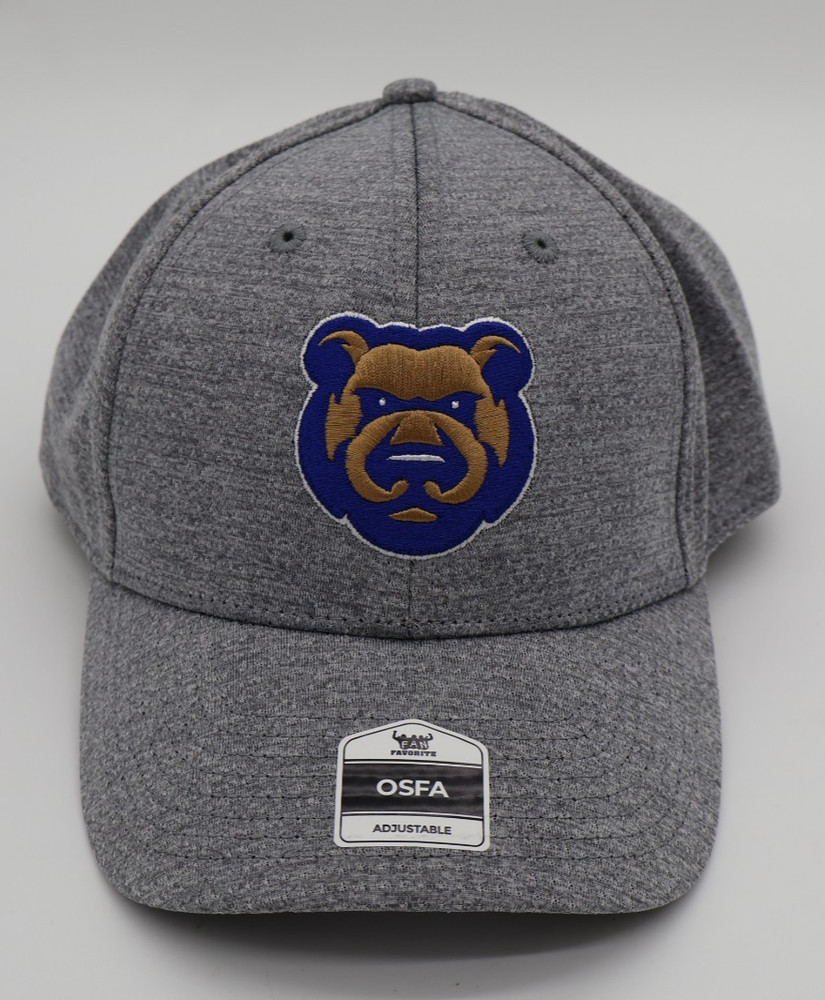 Iowa Cubs Hat Cap Men&rsquo;s Adjustable Gray Adult Snap Back Des Moines Iowa NWT