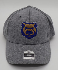 Iowa Cubs Hat Cap Men&rsquo;s Adjustable Gray Adult Snap Back Des Moines Iowa NWT