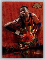 1995-96 SkyBox Premium Dikembe Mutombo #D3 Dynamic