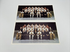 1982-83 Chicago Blackhawks Team Photo Lot of 10 10 3/8&Prime; x 5 1/2&Prime;