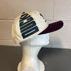 Vtg Rare NHL Anaheim Mighty Ducks American Needle Big Logo Snapback Hat