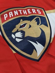 Florida Panthers Sam Reinhart #13 Fanatics Branded Red Home Breakaway NHL Jersey