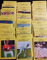 Private Card Collection Rice Parker Martinez Boggs Blyeleven Gwynn Rookie 90sMLB