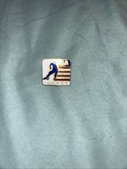 Assorted Lot Of Hockey Pins. 11 in total