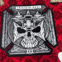 Triple H 30 Years The Authority Championship Title Belt Replica Adult 86 of 300