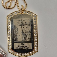 WWE No Way Out 2008 Elimination Chamber Pendant Necklace Lot RAW Smackdown ECW
