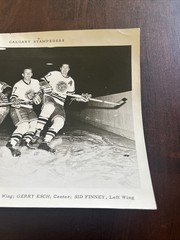 RARE VTG WHL Hockey Calgary Stampeders Esch Hergesheimer Finney Original Photo!