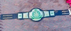 SMOKER STONER WEED 420 DUAL PLATED WRESTLING CHAMPIONSHIP BELT 2MM ADULT SIZE