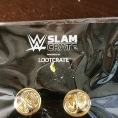 WWE Championship Belt Slam Crate/Loot Crate Exclusive Pin NIP (New in Package)