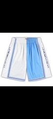 Los Angeles Lakers Mitchell & Ness Hardwood Classics Swingman Shorts SIZE 2XLB
