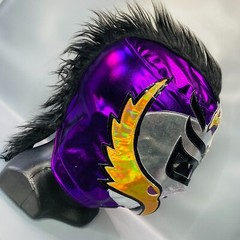 Phantom Havok Mysterio Wrestling Lucha Libre Costume Mask Mascara Luchador Gold