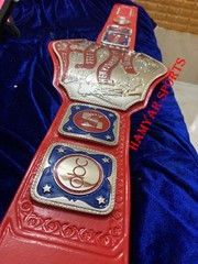 NWA Television heavyweight Championship Belt ,4mm Zinc,Nikal Plated,real Leather
