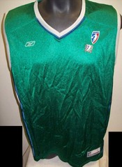 Minnesota LYNX NBA Blank Vintage Jersey by Reebok. Vintage New