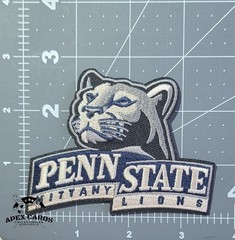 College Team Patch Embroidered Iron On Sew On College Football Basketball