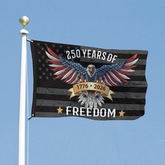 250 Years America Flag – 3×5 FT (60 inches x 36 inches), 250 Black