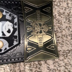 Triple H 30 Years The Authority Championship Title Belt Replica Adult 86 of 300