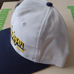 The Game Michigan Wolverines Hat One Size White Navy Blue NWT Twill