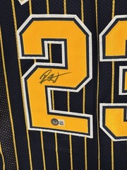 Ron Artest Indiana Autographed Signed Pinstripe #23 Jersey Beckett BAS COA