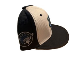 MINNESOTA TWINS 2018 SGA Minnesota Lynx Theme Night Baseball Hat Cap melonwear