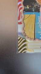 2025 WNBA Donruss Mascots Atlanta Dream Star #13 SSP – Pls read description