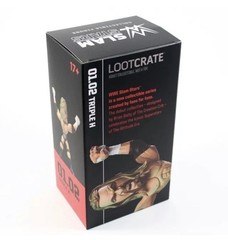 WWE Slam Stars Series 1 ~ Triple H Slam Loot Crate Exclusive Figure 1.02 NEW