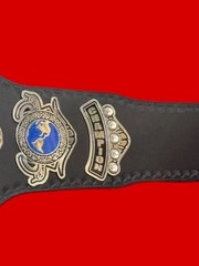 IWGP JOSHI PURORESU Wrestling Champion Replica Title Belt 4mm