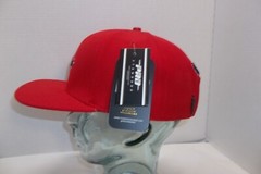 2019 Prostandard Washington Nationals World series winner hat snap back NWT T-8