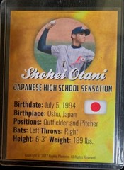Shohei Ohtani Japanese High School Sensation Misspelled Last Name (ERROR) Otani