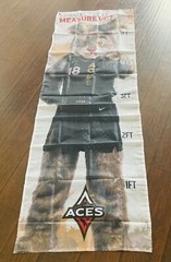 Las Vegas Aces WNBA Kids Growth Chart w/ Mascot Buckets Size 6x2feet Brand New!