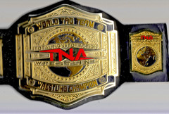 TNA 2010 WORLD TAG TEAM HEAVYWEIGHT CHAMPION WRESTLING REPLICA BELT 2MM BRASS