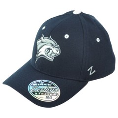NCAA Zephyr New Hampshire Wildcats Adults Flex Fit Stretch Medium/Large Hat Cap