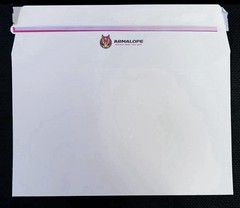 200 Armalope Standard Ebay Shipping Envelopes Pokemon TCG NFL NBA MLB