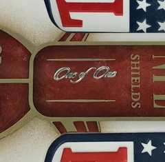 2020 Immaculate Dual NFL Shields Josh Allen/Stefon Diggs 1/1