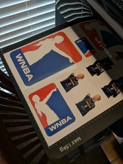 WNBA Sophie Cunningham Stickers