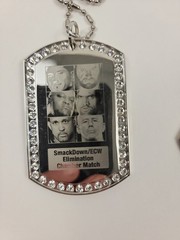 WWE No Way Out 2008 Elimination Chamber Pendant Necklace Lot RAW Smackdown ECW