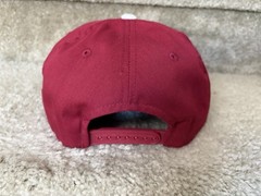 Vintage Philadelphia Phillies Hat American Needle Cooperstown SnapBack Rare cap