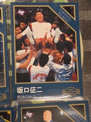 1995 BBM Pro Wrestling Farewell To Ring Card Set 218–223 Japan Insert WWE WWF