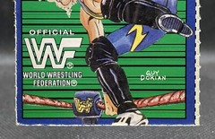 1995 WWF Just Toys Bend-Ems Series 2 1-2-3 Kid Card JusToys Bendems WWE X-Pac