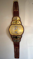 Aew All Elite new championship belt signature series MJF title 2mm brass adult