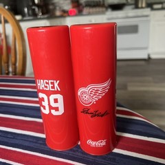 Detroit Red Wings Great Dominik Hasek Mini Stick In Special Case (/7500)
