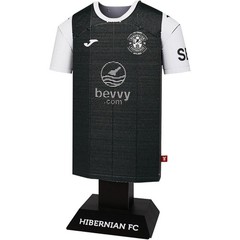 Hibernian FC Metal Football Shirt Personalised Hibs 2025/26 Home Kit Alloy Shirt