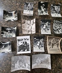 RARE Lot Of VINTAGE black & white Larry Bird ISU and Early 90s CELTICS PICTURES