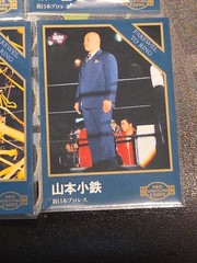 1995 BBM Pro Wrestling Farewell To Ring Card Set 218–223 Japan Insert WWE WWF