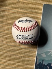 2023 MLB All-Star Game Official Program and Fan Fest Rawlings All-Star Game Ball