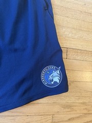 Minnesota Lynx Nike Dri-Fit Basketball Shorts Mens XXL Blue WNBA