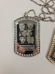 WWE No Way Out 2008 Elimination Chamber Pendant Necklace Lot RAW Smackdown ECW