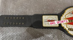 TNA X Division Wrestling Championship Replica Title Belt Adult Size 2mm